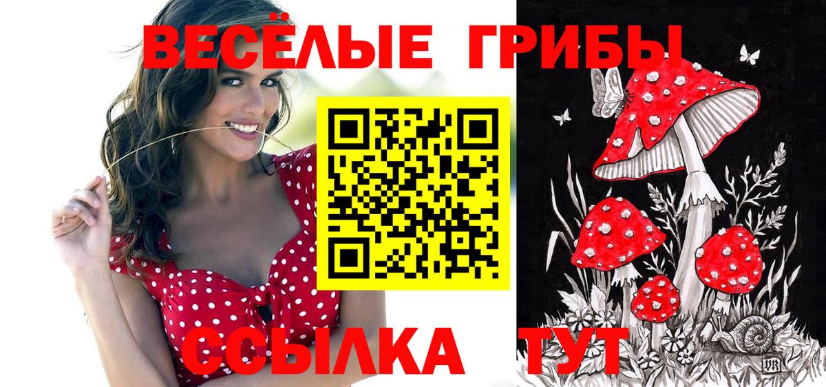 Галлюциногенные грибы Cubensis  Вход с VPN  Луга  Галлюциногенные грибы мухоморы 
